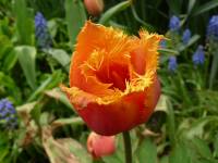 Brigitte VALENTIN - Chez Brigitte