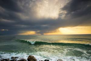 Véronique LARRUE - LARRUE VERONIQUE