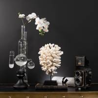 Gabriel JOANNAS - JOANNAS GABRIEL